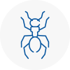 Ant Removals In Washington