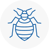Bed Bug Extermination In Washington