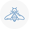 Bee Nest Removal Washington