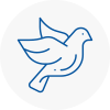 Bird Prevention Washington