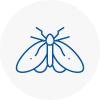 Moth Control Specialists In Washington
