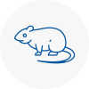 Rat Control Washington