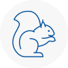 Washington Rodent Removals